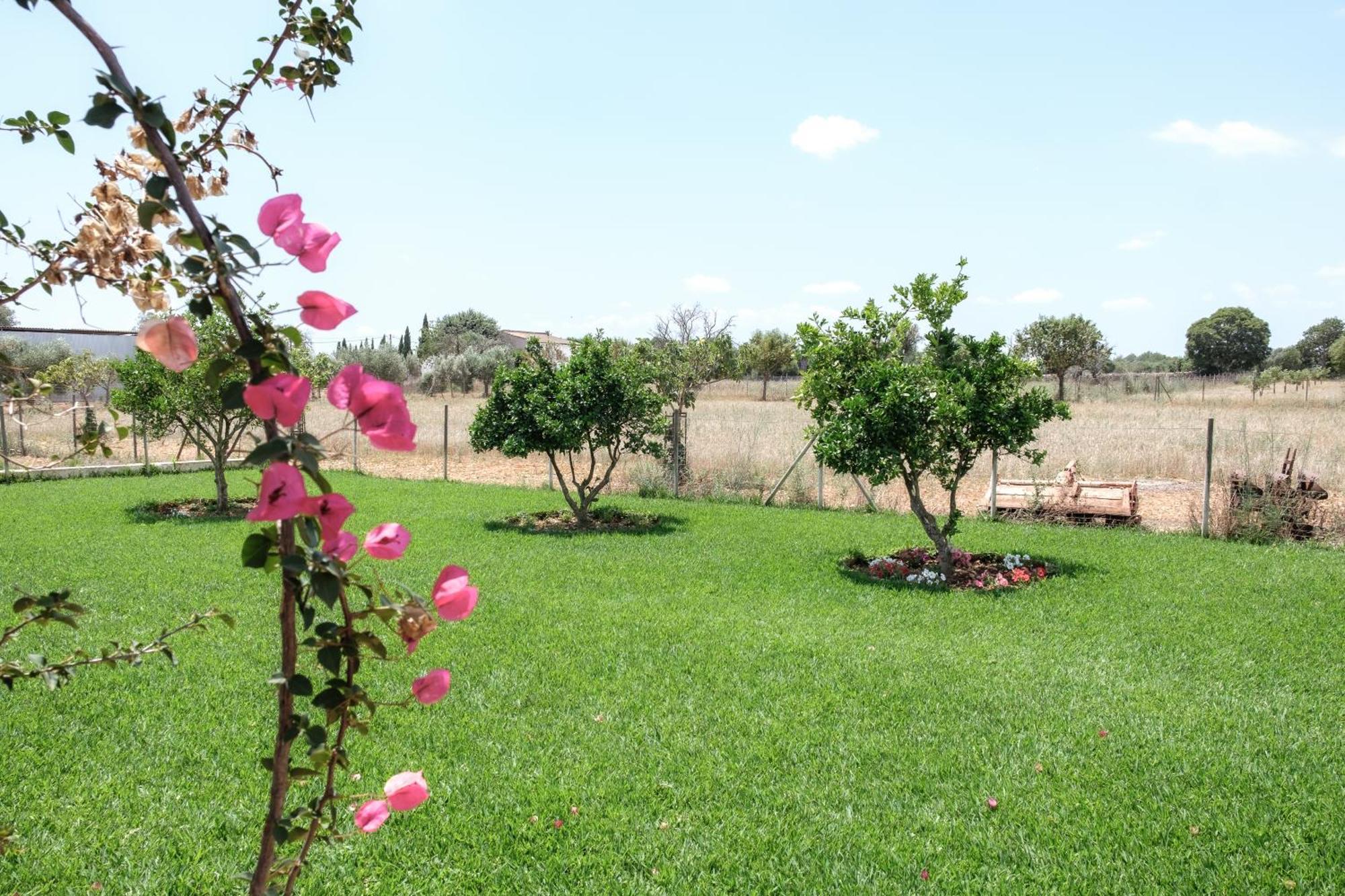 Bonita Sa Vinya Relax Y Piscina Privada Ferienhaus *
