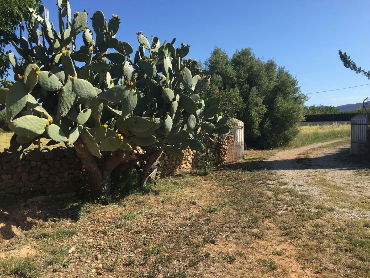 Ferienhaus Bonita Sa Vinya Relax Y Piscina Privada *