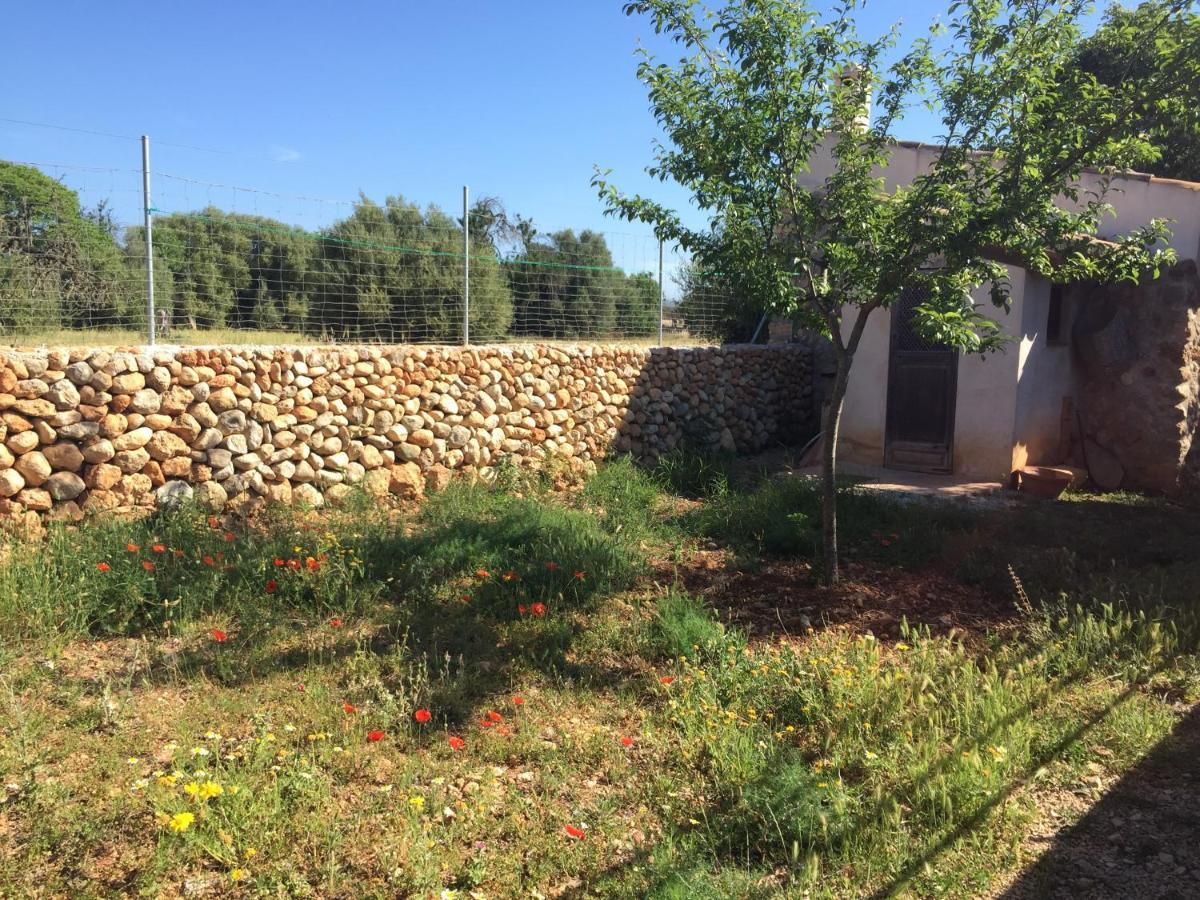 Ferienhaus Bonita Sa Vinya Relax Y Piscina Privada Inca (Mallorca)