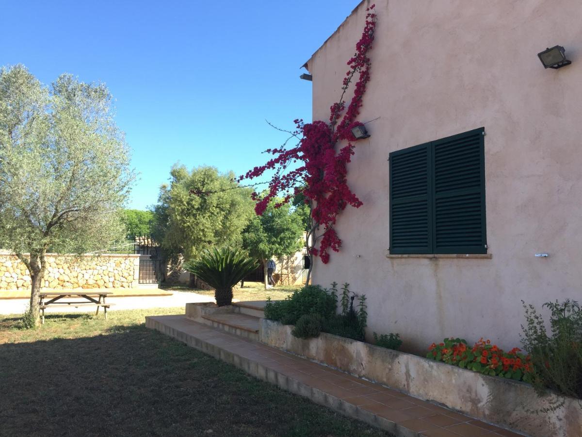 Bonita Sa Vinya Relax Y Piscina Privada